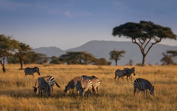 Ihre Safari im Überblick