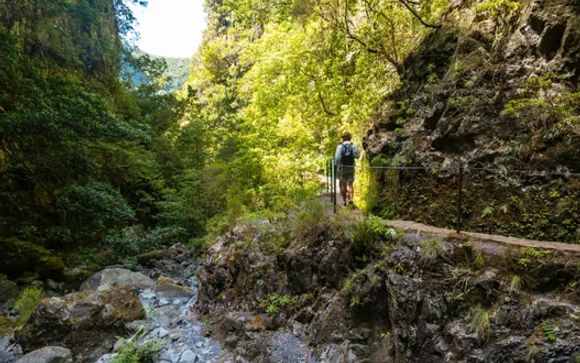 Ihre Ausflugsoptionen