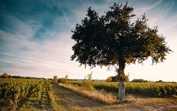 Ihre enthaltenen Ausflüge