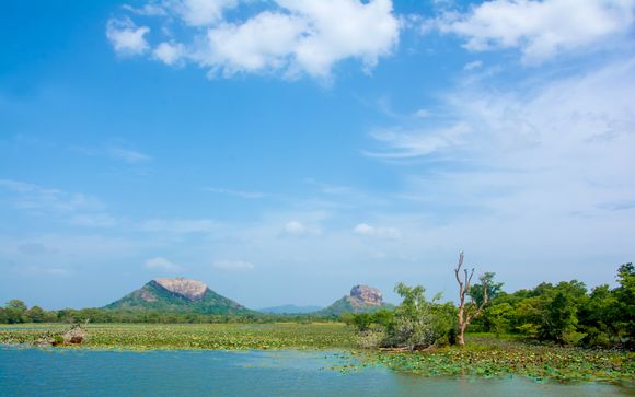 Ihre Ausflugsoptionen