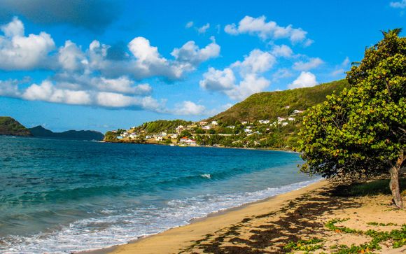 Ihre Kreuzfahrt im Detail