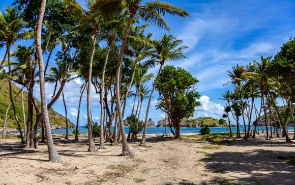 Ihre Kreuzfahrt im Detail