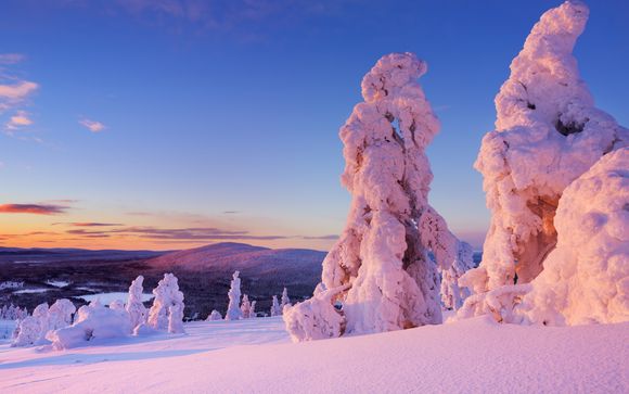 Suomo Chalets - Finnland erleben