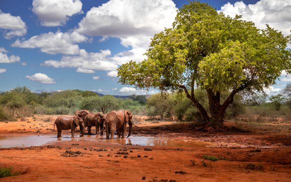 Ihre Safari im Überblick