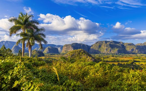 Ihre Ausflugsoptionen