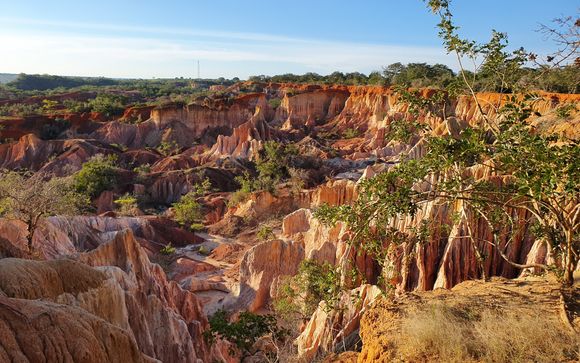 Ihre Ausflugsoptionen