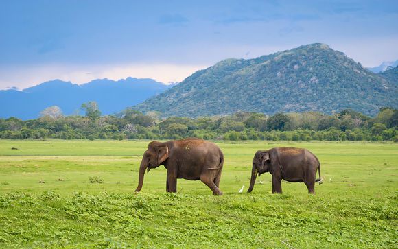 Ihre Rundreise im Detail