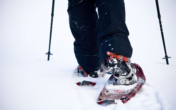 Ihre Ausflugsoptionen