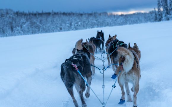 Im Angebot enthalten