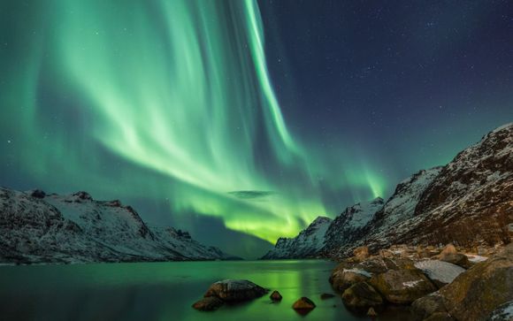 Im Angebot enthalten