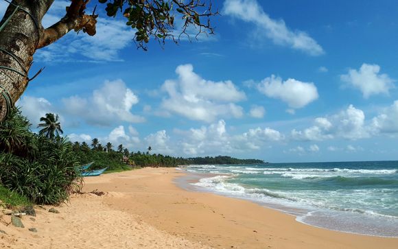 Willkommen in Sri Lanka