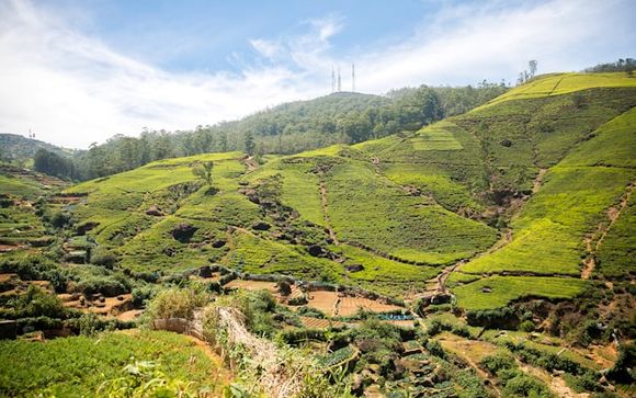 Ihre Rundreise im Überblick