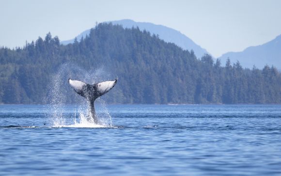 Ihre Rundreise im Detail