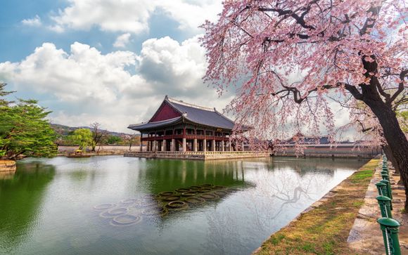 Ihre Reise im Detail