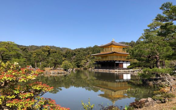 Ihre Reise im Detail