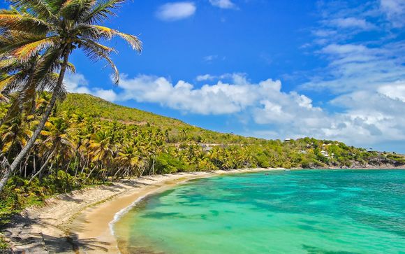 Ihre Kreuzfahrt im Detail