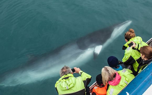 Ihre Reise im Detail