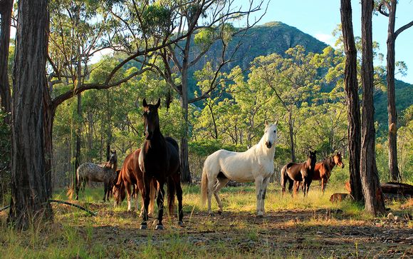 Autotour - Empfohlene Reiseroute