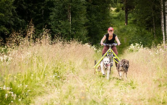Ihre Informationen zum Transport