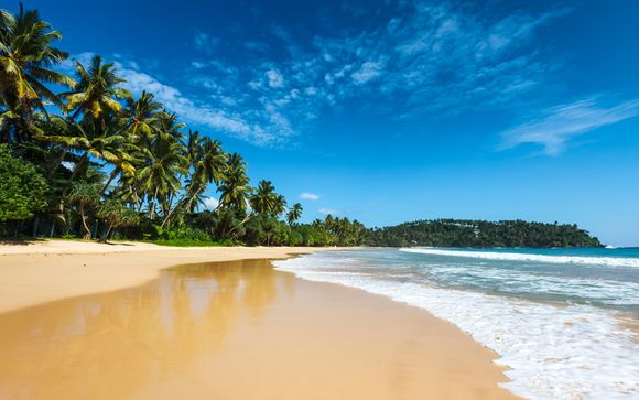 Willkommen auf... Sri Lanka!