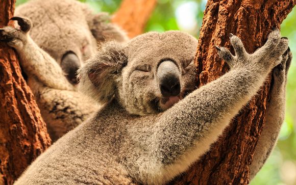 Willkommen in... San Francisco, Honolulu, Sydney und Tokio!