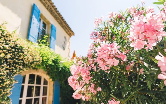 Willkommen in... der Provence!