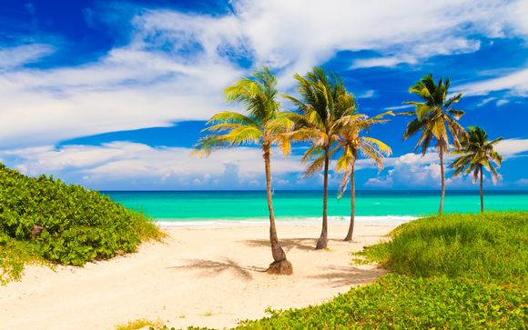 Willkommen auf... Kuba!