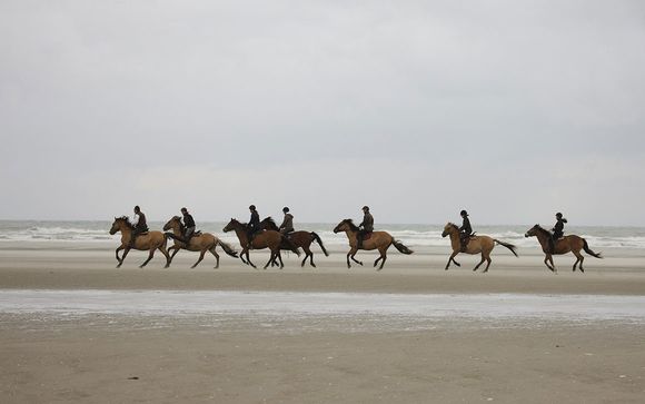 Willkommen an... der Küste des Ärmelkanals!