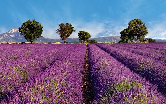 Willkommen in... der Provence !