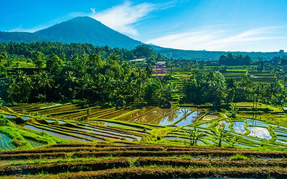 Willkommen auf... Bali!