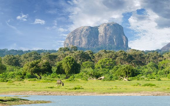 Willkommen in... Sri Lanka!