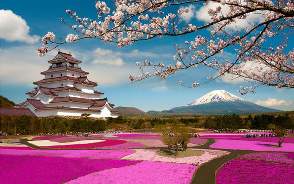 Entdeckungsreise Japan