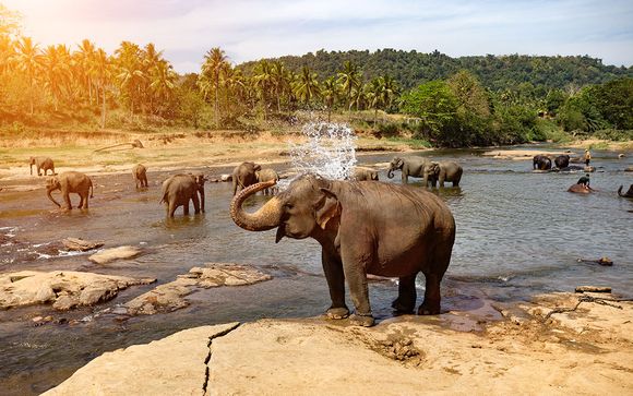 Willkommen in... Sri Lanka!