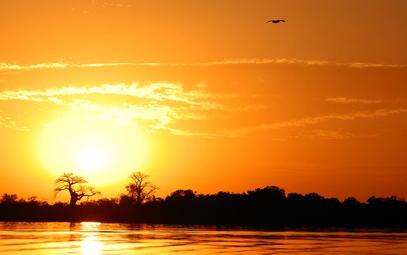 Willkommen im... Senegal!