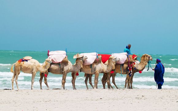 Willkommen auf...Djerba!