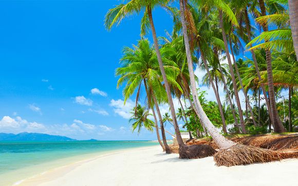 Ihre Rundreise mit 7 Nächten im Detail