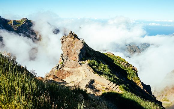 Willkommen auf... Madeira!