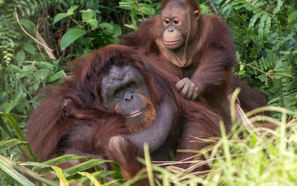 Ihre Rundreise im Detail