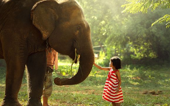 Ihre Rundreise im Detail