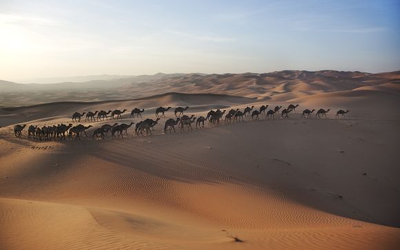 Ihre Ausflugsptionen