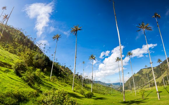 Ihre Rundreise im Detail