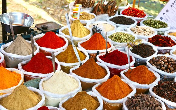 Willkommen in... Indien!