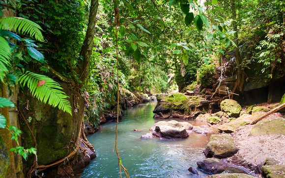 Willkommen in... Bali!
