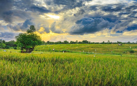 Ihre Rundreise im Detail