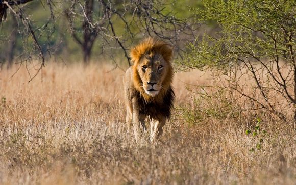 Ihre Rundreise in Südafrika im Detail