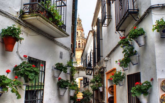 Ihre Rundreise im Detail