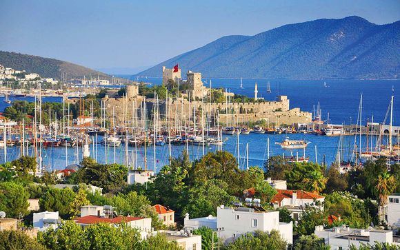 Ihre Segelkreuzfahrt im Detail