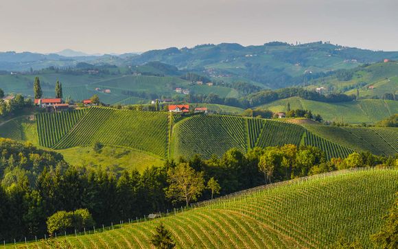 Willkommen im... Burgenland!