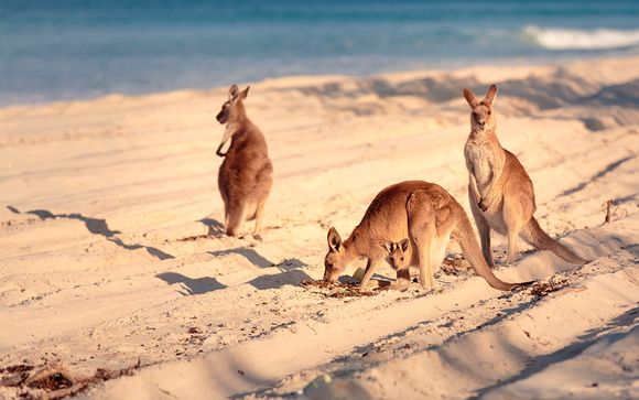 Autotour - Empfohlene Reiseroute