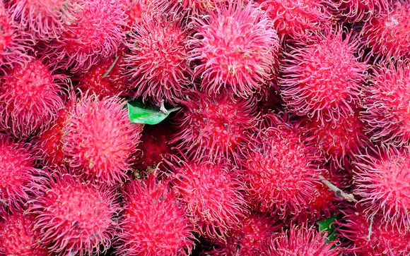 Unsere kleinen Tipps für einen perfekten Aufenthalt